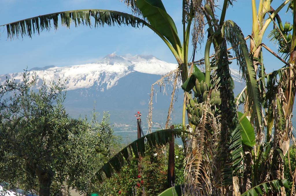 Agriturismo Dell'Etna Ріпосто Екстер'єр фото